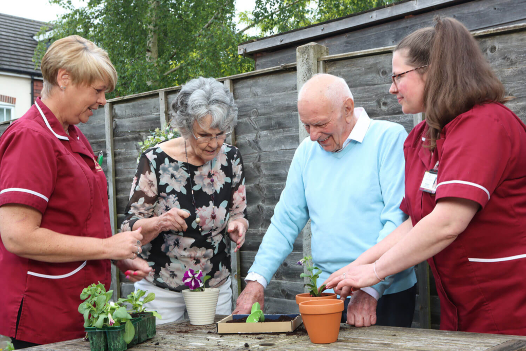 Our Companion Care Approach